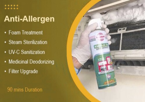 Hygienic AC Cleaning