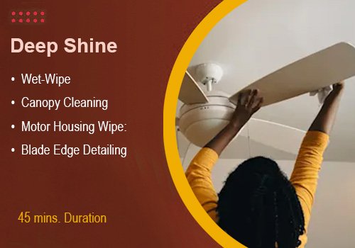 Standard Ceiling Fan Cleaning