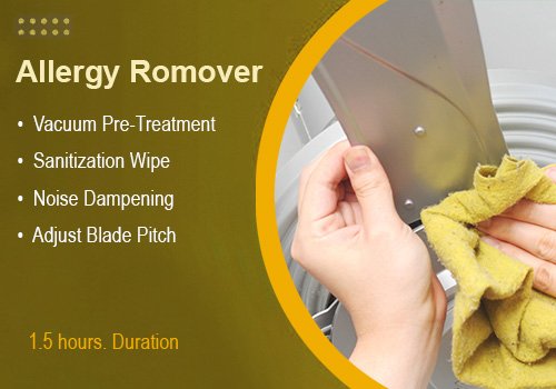 Premium Ceiling Fan Cleaning