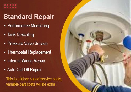 Standard Geyser Repair