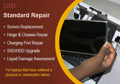 Standard Laptop Repair