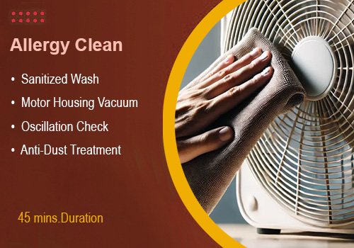 Standard Table Fan Cleaning